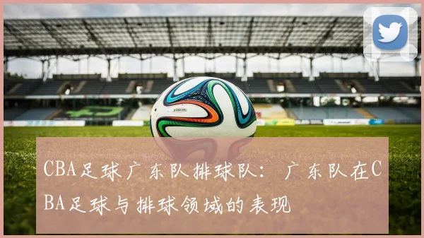 CBA足球广东队排球队：广东队在CBA足球与排球领域的表现