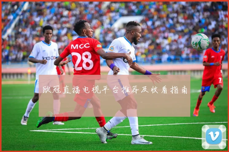 欧冠直播电视平台推荐及收看指南