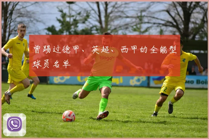 曾踢过德甲、英超、西甲的全能型球员名单