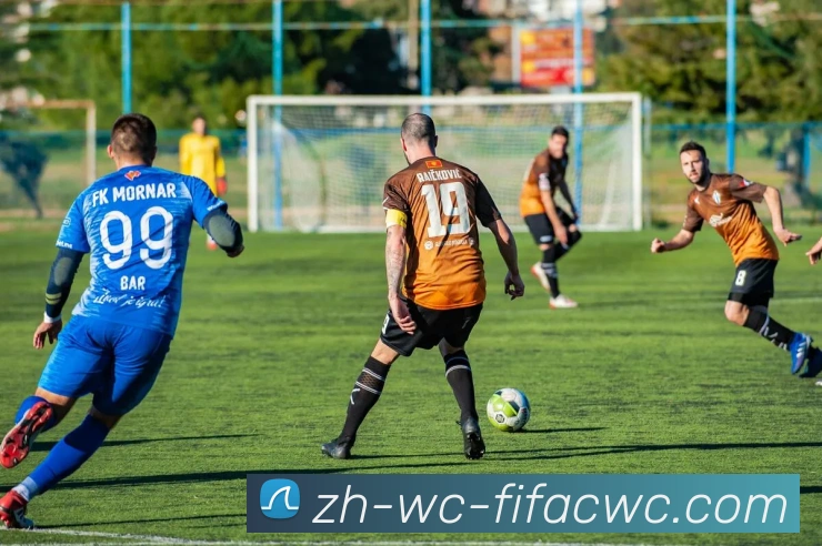 世界杯在线观看服务体系