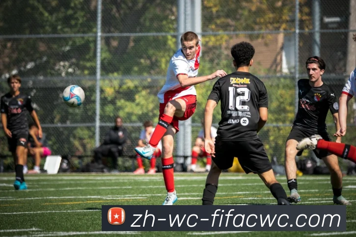 多媒体互动体验